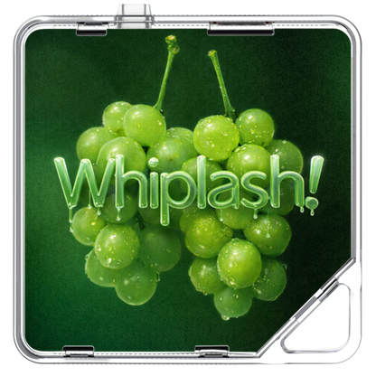 Yusiha(유시하) - Whiplash! - KiTalbum