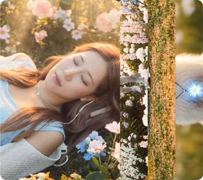 지혜 - My Flower - KiTalbum