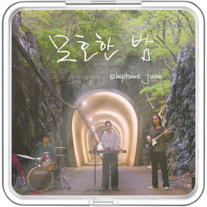 Elephant juice - 모호한 밤 - KiTalbum